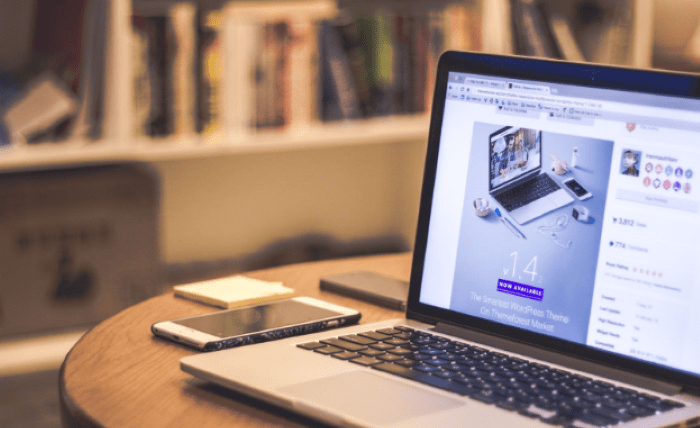 The Most In-Demand Chicago Web Design Services for Local and National Businesses top chicago web design services for business